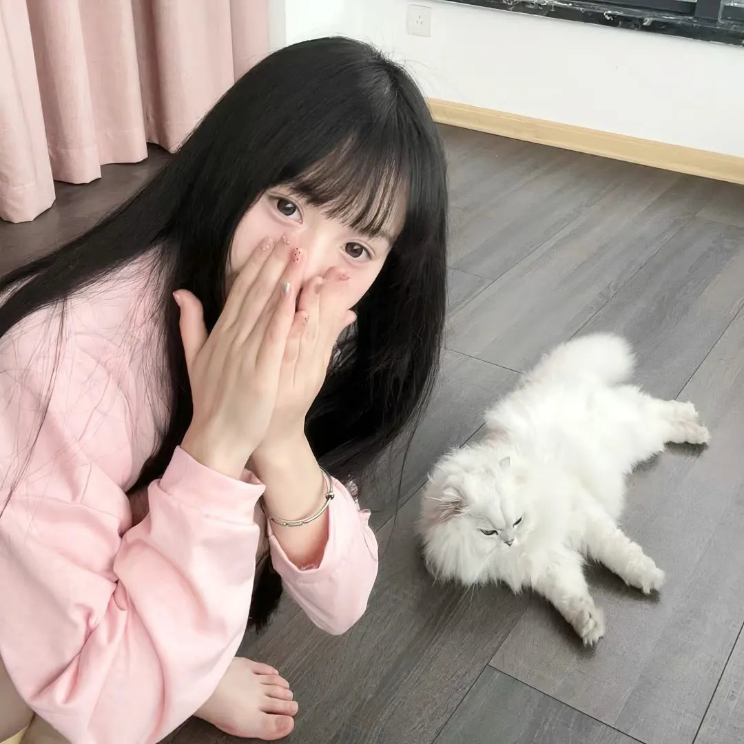 飞行艳使